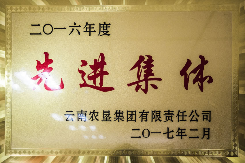 资质荣誉