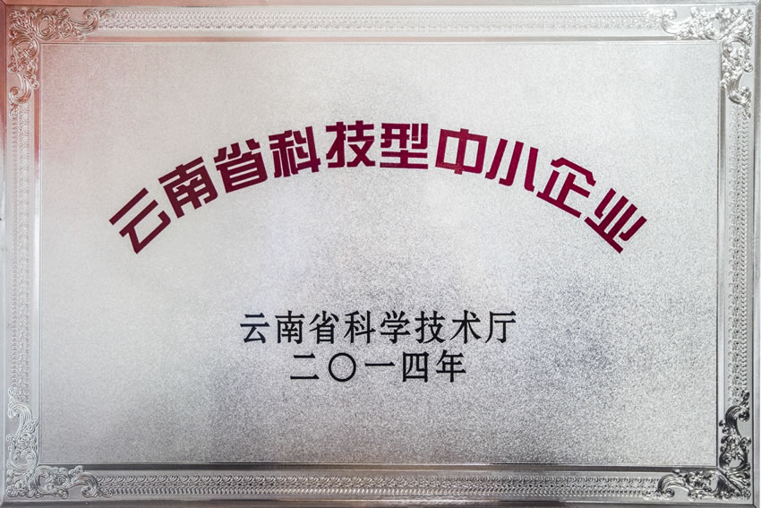 资质荣誉