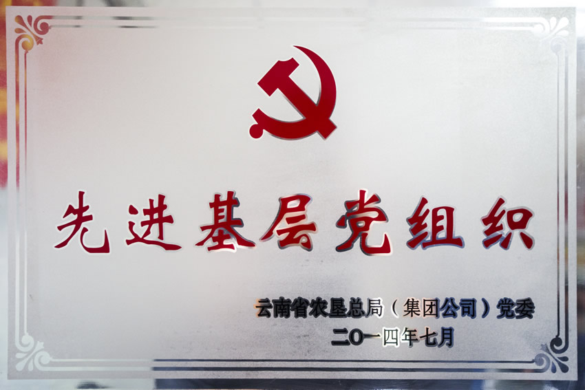 资质荣誉